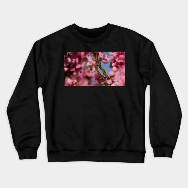 Busy as a Bee - Spring at Magpie Springs by Avril Thomas Crewneck Sweatshirt by MagpieSprings